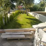 Pino * Ντιντίμ