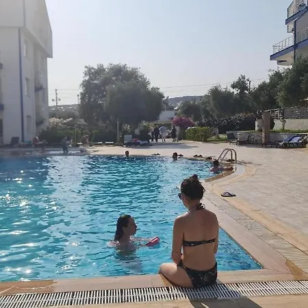 Pino